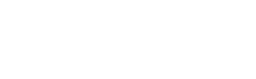 Chiropractic Future Strategic Plan
